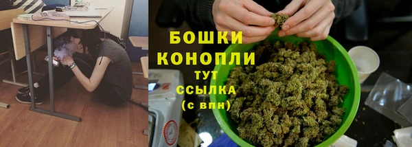 прущая мука Пересвет