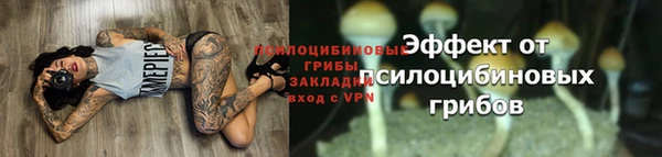 прущая мука Пересвет