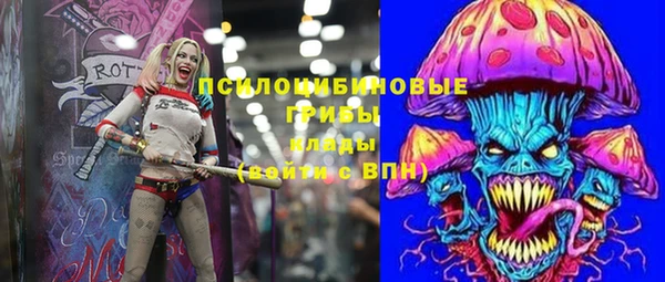 a pvp Пестово
