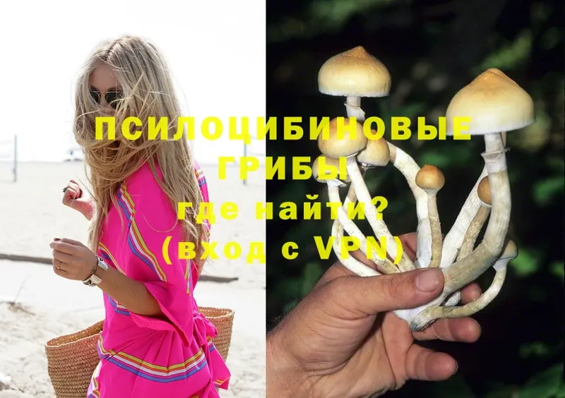 наркошоп  Собинка  hydra ссылки  Галлюциногенные грибы MAGIC MUSHROOMS 